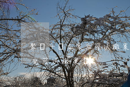 聚眾斗毆立案后可以撤案嗎(打架受害者不追究可以撤案嗎)