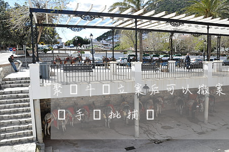 聚眾斗毆立案后可以撤案嗎(聚眾斗毆去了沒動手會批捕嗎)