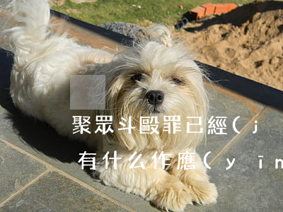 聚眾斗毆罪已經(jīng)逮捕了請律師有什么作應(yīng)(聚眾斗毆罪的法律規(guī)定)