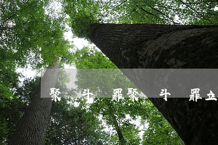 聚眾斗毆罪(聚眾斗毆罪立案標準)