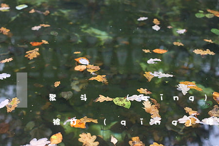 聚眾斗毆請(qǐng)律師大概要多少錢(被打請(qǐng)律師要多少錢)