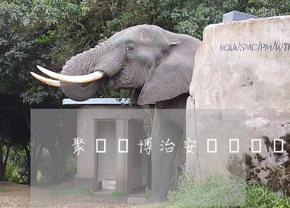 聚眾賭博治安處罰標準