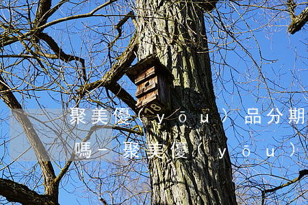 聚美優(yōu)品分期付款可以提前還款嗎-聚美優(yōu)品分期付款可以提前還款嗎安全嗎