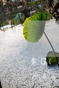 聚財(cái)貓逾期良性還款公告(聚財(cái)貓什么時(shí)候還款呀?最新情況如何?)