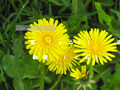 聚財(cái)貓錢逾期還沒(méi)還款(聚財(cái)貓理財(cái)最新消息)