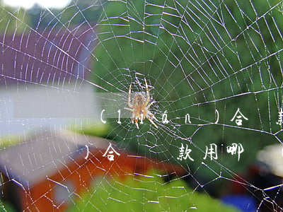 聯(lián)合貸款還不起 聯(lián)合貸還款用哪個(gè)還
