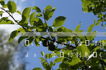 聯(lián)合銀行信用卡利息(聯(lián)合銀行利息現(xiàn)在是多少)