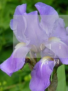 聯(lián)合體中標(biāo)如何簽合同