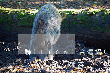 聯(lián)合體協(xié)議書(shū)參考樣本