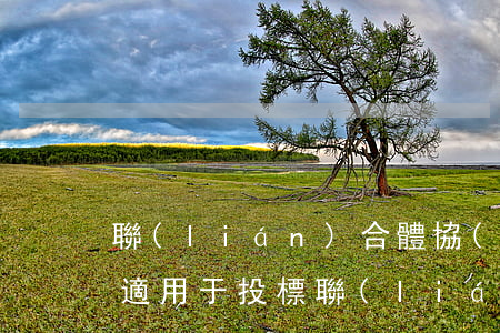 聯(lián)合體協(xié)議書(僅適用于投標聯(lián)合體）