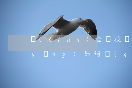 聯(lián)合體投標(biāo)應(yīng)如何規(guī)范