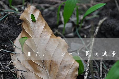 聯(lián)民交通事故