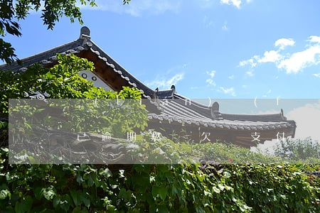 聯(lián)發(fā)燃氣繳費支付寶已逾期(燃氣欠費支付寶交上多長時間能來氣)