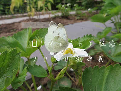 聯(lián)社信用卡利息(信用社卡利息2020利率表)