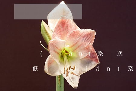 聯(lián)系兩次還款后借唄額度都降低-聯(lián)系兩次還款后借唄額度都降低了怎么辦