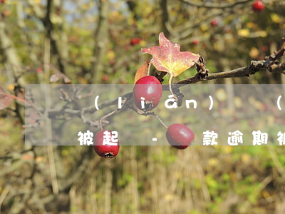 聯(lián)貸擔(dān)保逾期未還被起訴-貸款逾期被訴訟