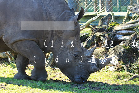 聯(lián)通24期免息分期(中國聯(lián)通分期購機(jī))