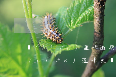 聯(lián)通卡逾期繳費(fèi)(聯(lián)通卡欠費(fèi)多少不追究)