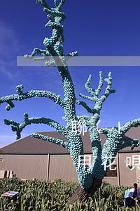 聯(lián)通辦業(yè)務(wù)用花唄逾期(聯(lián)通還花唄)