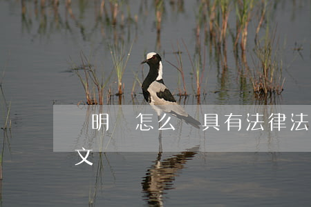 聲明書怎么寫具有法律(法律聲明書怎么寫范文)