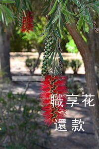 職享花已逾期請(qǐng)先還款(宜享花還款)