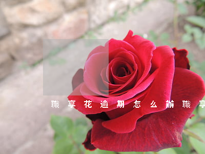 職享花逾期怎么辦(職享花正規(guī)嗎)