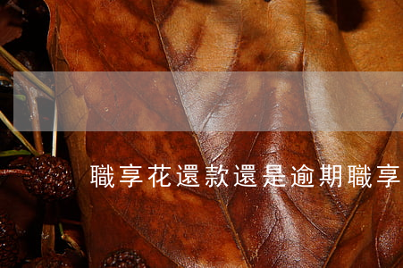 職享花還款還是逾期(職享花還款還是逾期)