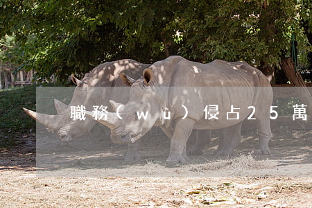 職務(wù)侵占25萬判多少年