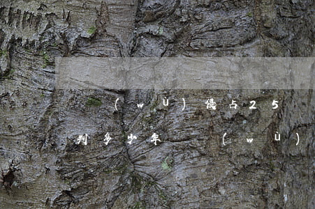 職務(wù)侵占25萬準(zhǔn)確判多少年(職務(wù)侵占五萬怎么判)