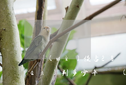 職務(wù)侵占28萬(wàn)萬(wàn)判多少年(職務(wù)侵占28萬(wàn)萬(wàn)判多少年)