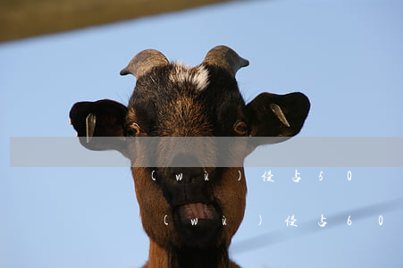 職務(wù)侵占50萬打官司需要多少錢(職務(wù)侵占60萬的追訴期是多久)