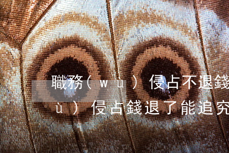 職務(wù)侵占不退錢會怎么樣(職務(wù)侵占錢退了能追究責任)