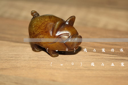 職務(wù)侵占案件保證金要收多少合理(職務(wù)侵占立案標(biāo)準(zhǔn)是多少)