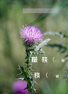 職務(wù)侵占檢察院不起訴難度大嗎(職務(wù)侵占罪移送檢察院會怎樣)