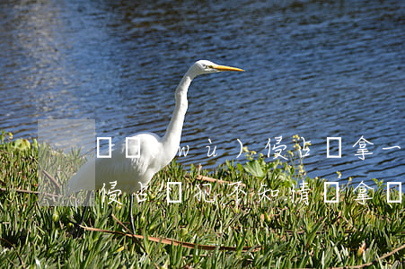 職務(wù)侵占沒拿一分錢(職務(wù)侵占從犯不知情沒拿錢)