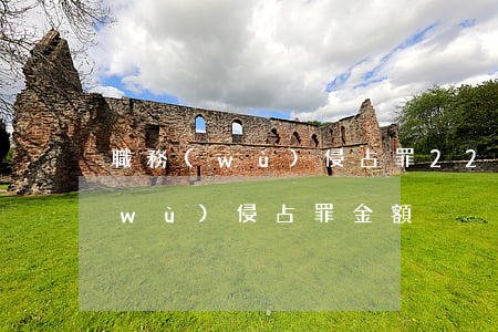 職務(wù)侵占罪22萬罰金多少(職務(wù)侵占罪 金額)