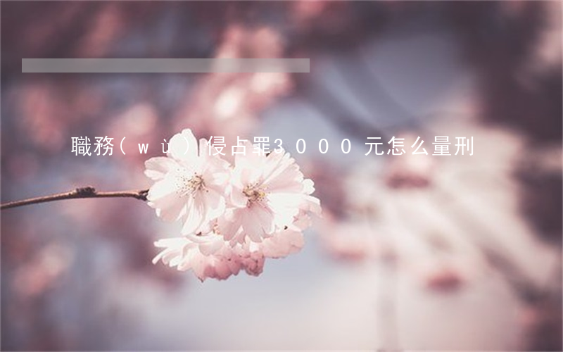 職務(wù)侵占罪3000元怎么量刑