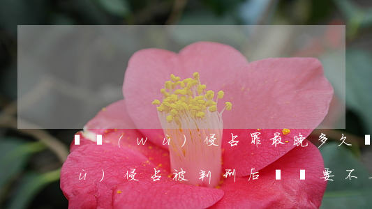 職務(wù)侵占罪最晚多久還錢(職務(wù)侵占被判刑后錢還要不要還)