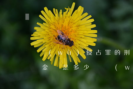 職務(wù)侵占罪的刑事責(zé)任起訴金額是多少(職務(wù)侵占罪的立案金額是多少?)