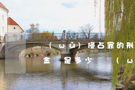職務(wù)侵占罪的刑事責(zé)任起訴金額是多少(職務(wù)侵占罪追訴金額)