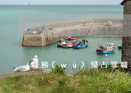 職務(wù)侵占罪(職務(wù)侵占罪)