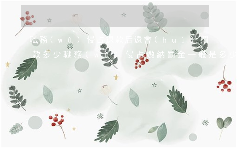 職務(wù)侵占退款后還會(huì)罰款多少(職務(wù)侵占繳納罰金一般是多少)