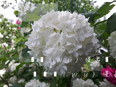職務(wù)侵占過了追訴期公司怎么追回錢(職務(wù)侵占如何追回財產(chǎn))