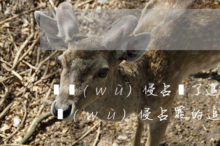 職務(wù)侵占過了追訴期就是無罪嗎(職務(wù)侵占罪的追訴時效期)