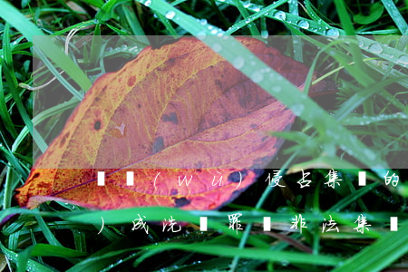 職務(wù)侵占集資的錢可以構(gòu)成洗錢罪嗎(非法集資屬于洗錢嗎)
