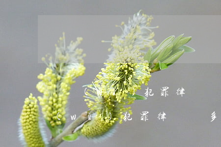 職務(wù)犯罪律師費多少 百度知道(職務(wù)犯罪律師費多少 百度知道)