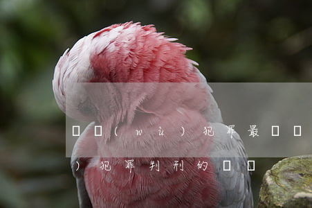 職務(wù)犯罪最輕會怎么判(職務(wù)犯罪判刑的標準)
