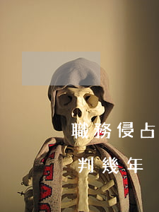 職務侵占17萬判多少年(職務侵占13萬元判幾年)
