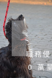 職務侵占25萬準確判多少年(職務侵占130萬量刑判多少年)