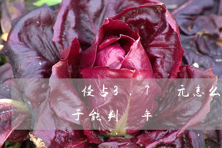 職務侵占3.7萬元怎么判(職務侵占三萬元屬于能判幾年)